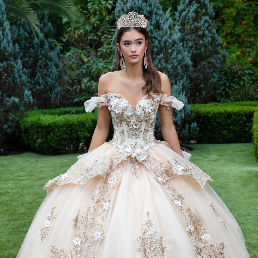 New Formal Quinceanera Gown w/ Floral Applique Details & Beads Embroidery GL3528